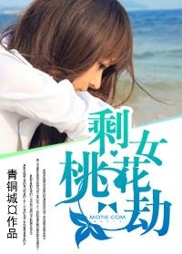 剩女桃花劫大结局