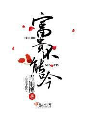 古文富贵不能吟解说