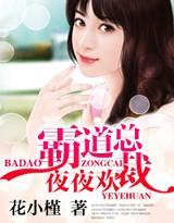 霸道总裁夜夜欢乐