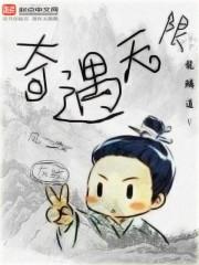 奇遇无限txt精校