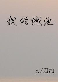 我的城池笔趣阁