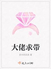 大佬求带网络啥意思?