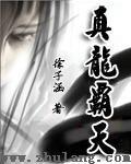 真龙霸业资源价格真龙霸业资源介绍及作用