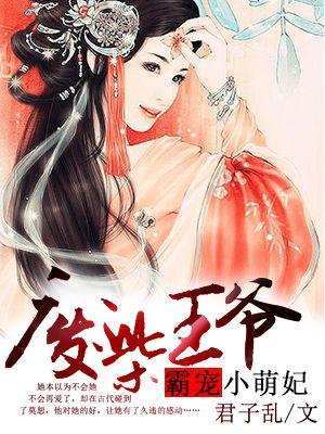 废柴王爷的悍妻