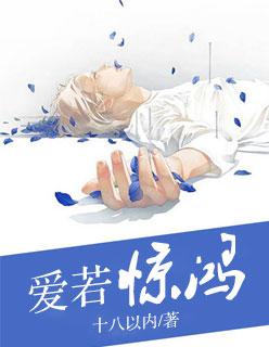 惊鸿若梦歌词是什么意思