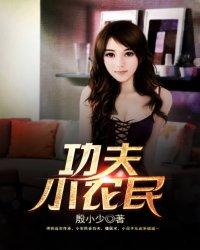 我要看功夫高手