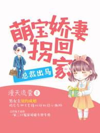 萌宝归来总裁的天价前妻
