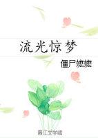 流光惊梦全文番外