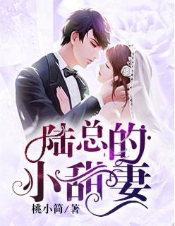 陆少的心尖宠妻