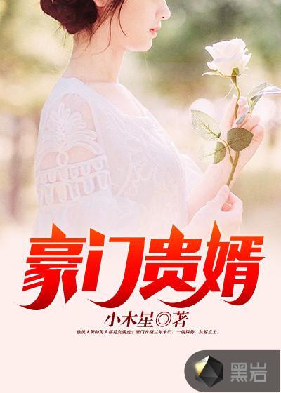 豪门贵婿兄弟