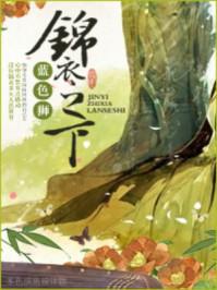 锦衣之下电视剧免费观看全集观看星辰