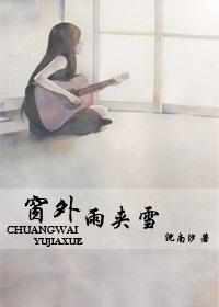 窗外雨夹雪沈南汐讲的是什么