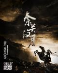 秦时明月汉时关中的关是什么意思?