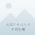 他好野马小宇短剧