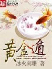 黄金遁全本TXT