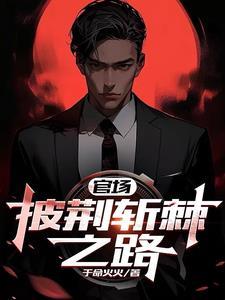 官场披荆斩棘免费阅读