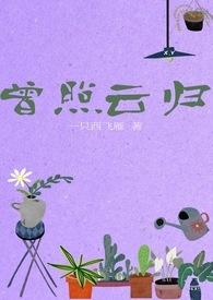 曾照云归苏芷