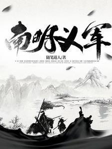 南明义军1-40集免费播放